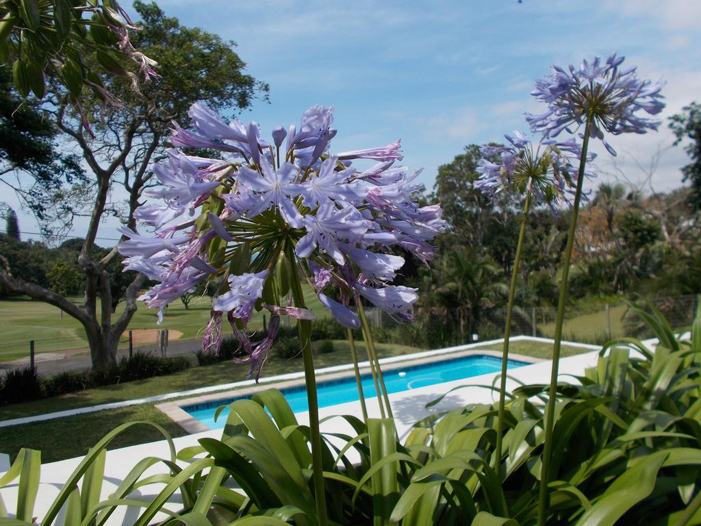 Coral Tree Colony Bed & Breakfast Southbroom Εξωτερικό φωτογραφία